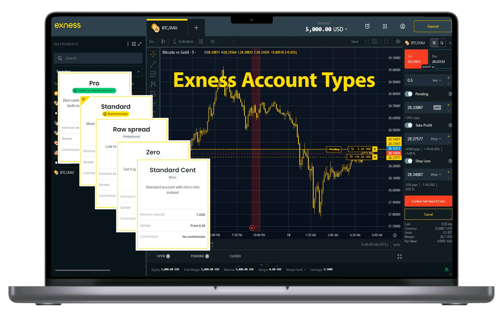 Exness 所有交易帳戶類型